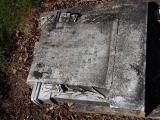 image of grave number 827298